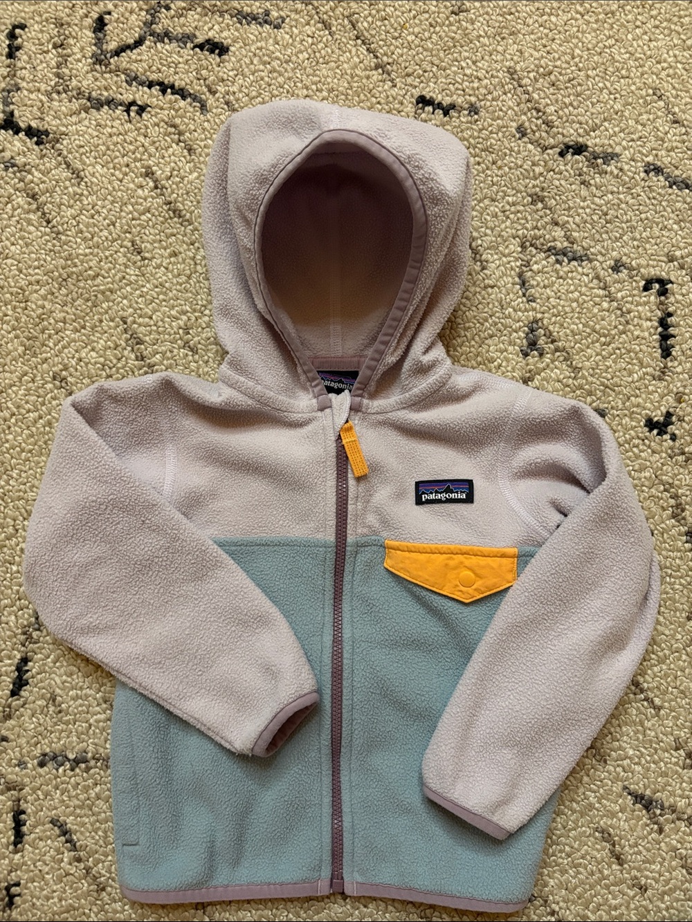 Patagonia Kids Fleece Jacket (2T)